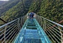 wayanad glass bridge