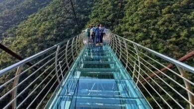 wayanad glass bridge